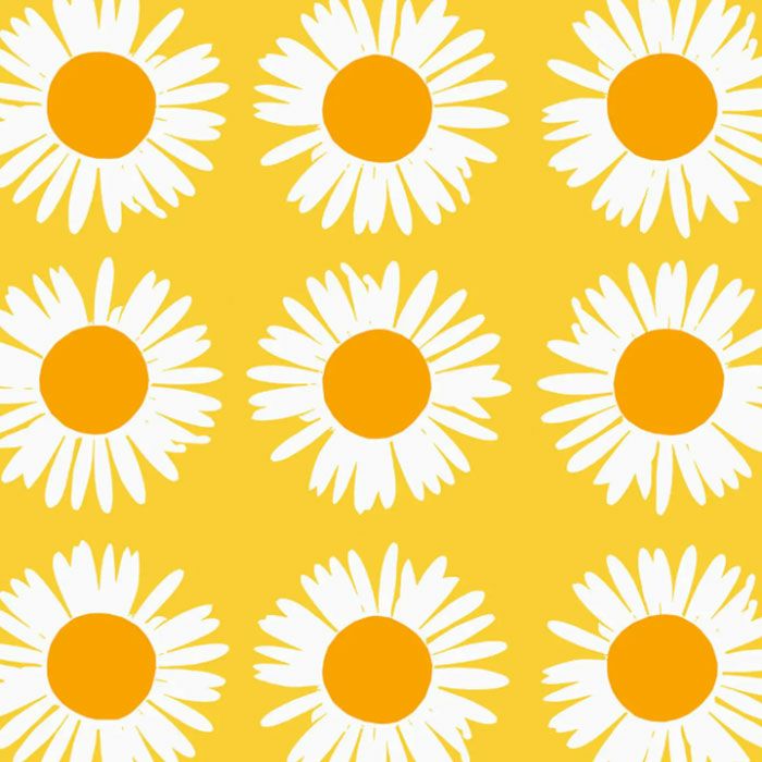 アウリンゴンクッカ