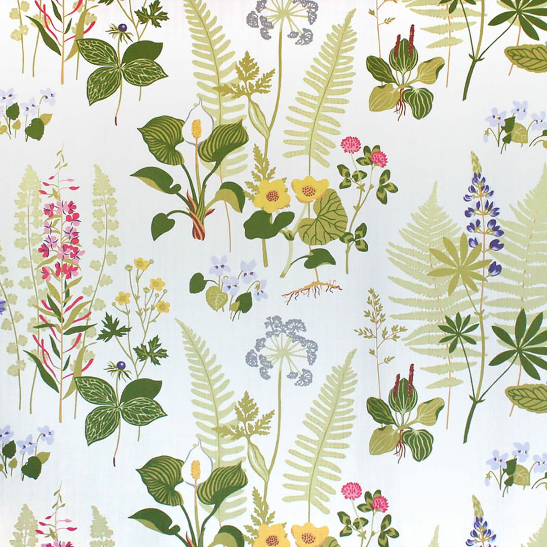 ホワイト