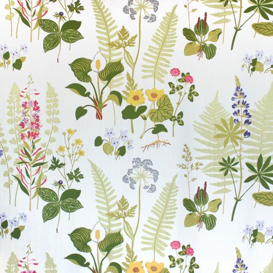 フォグリングストゥール