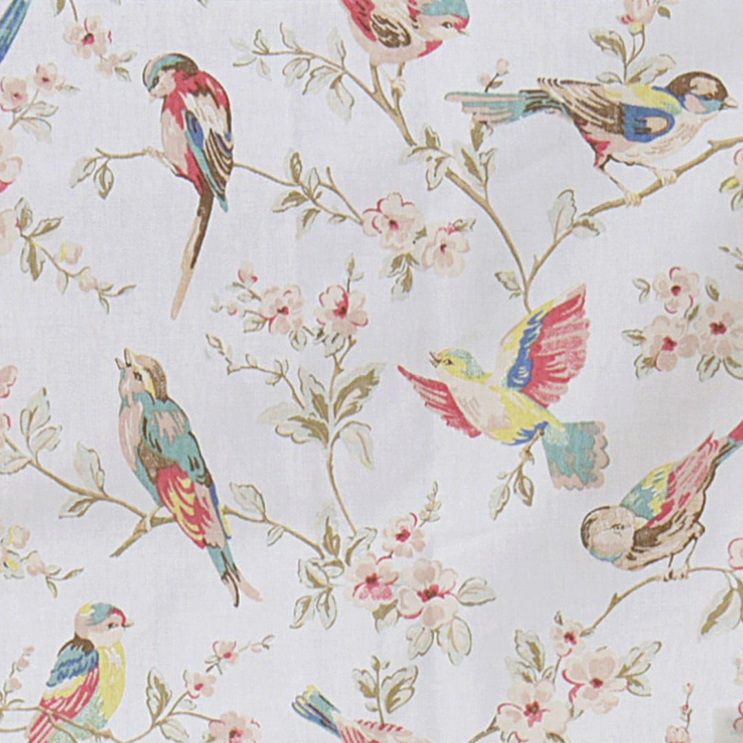 ブリティッシュバード