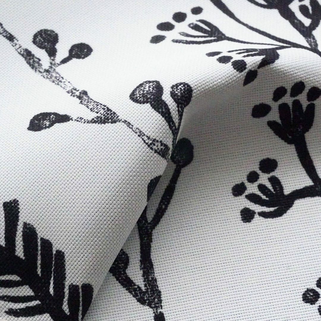 カスペリ(ブラック)